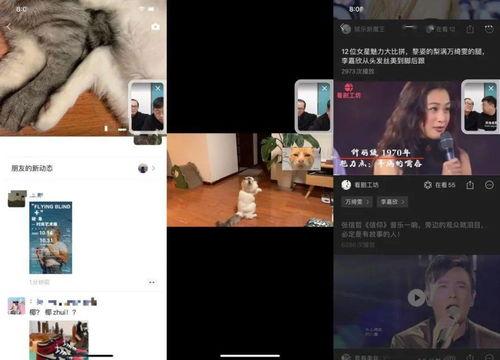 视频号热点爆料,最新热门事件深度解析 第1张 视频号热点爆料,最新热门事件深度解析 第1张